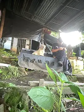 Jestebanano online show from March 16, 2026, 12:20 pm