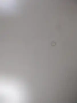 Snapshot of geilerschwanz64 chatting on October 15, 2025, 9:59 pm geilerschwanz64 online show from October 15, 2025, 9:59 pm