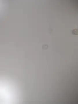 Snapshot of geilerschwanz64 chatting on October 24, 2025, 7:05 am geilerschwanz64 online show from October 24, 2025, 7:05 am