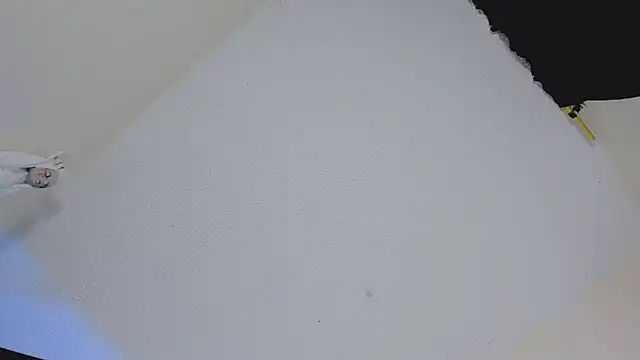 Snapshot of missycanoo chatting on October 22, 2025, 12:44 am missycanoo online show from October 22, 2025, 12:44 am