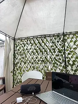 Snapshot of im_lorein chatting on February 21, 2025, 3:10 pm im lorein online show from February 21, 2025, 3:10 pm