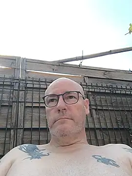 Snapshot of bogland33 chatting on July 11, 2026, 8:17 am bogland33 online show from July 11, 2026, 8:17 am