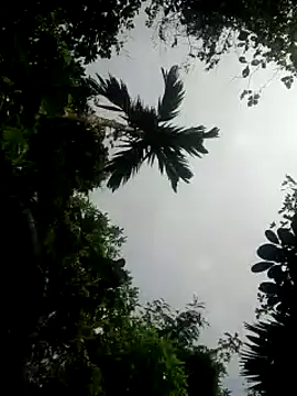 Snapshot of kumaricapalsex2 chatting on January 26, 2025, 5:34 am kumaricapalsex2 online show from January 26, 2025, 5:34 am