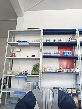 Megan jennerr online show from November 7, 2025, 2:39 pm