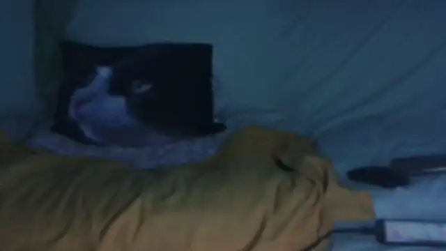 VeneRed online show from September 17, 2025, 8:21 pm