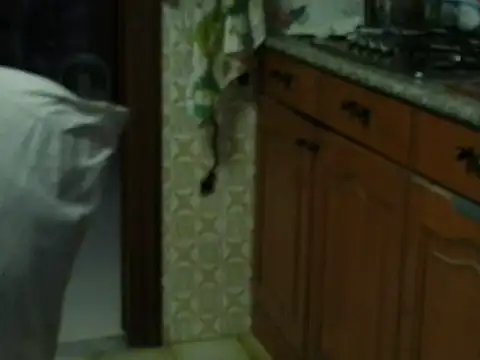 VeneRed online show from October 27, 2025, 3:49 pm