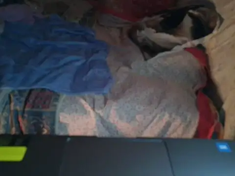 VeneRed online show from January 17, 2026, 6:55 pm