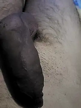 novinho hot69 online show from September 10, 2025, 6:13 am