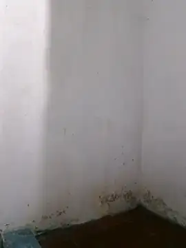 Hot p0lla grande activo online show from February 5, 2026, 1:43 am