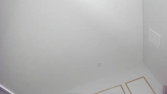 Tiffany sander online show from January 9, 2026, 12:52 pm