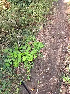 nataliecdlive online show from March 14, 2026, 2:11 pm