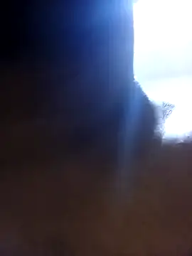 Snapshot of Nogeris20 chatting on September 21, 2025, 5:14 pm Nogeris20 online show from September 21, 2025, 5:14 pm