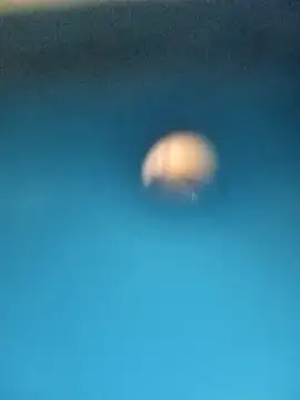 Sonya5156 online show from February 15, 2025, 3:28 pm