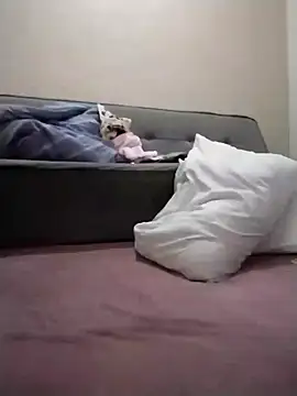 Luci foxx online show from March 19, 2026, 1:42 am