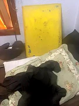 gloria7v05 online show from November 11, 2025, 12:38 pm