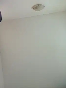 Virgin Pussy Love online show from November 25, 2025, 1:44 pm