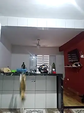 Snapshot of VibratedPoaching chatting on March 19, 2026, 1:59 pm VibratedPoaching online show from March 19, 2026, 1:59 pm