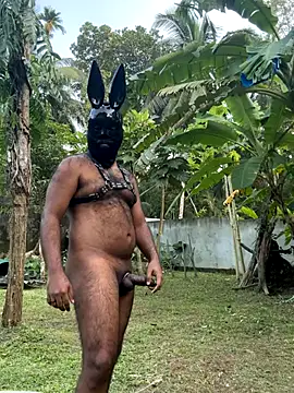 DragonLover 93 online show from December 1, 2025, 11:26 am