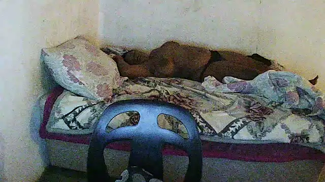 blackjackvv online show from October 27, 2025, 4:49 am