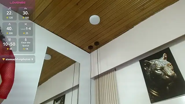 Snapshot of virtual_charm chatting on February 7, 2025, 4:56 pm virtual charm online show from February 7, 2025, 4:56 pm