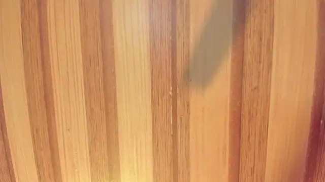 Taylor  cooper online show from December 1, 2025, 6:24 pm