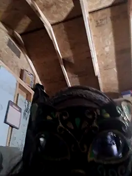 EbonysoFyne online show from November 21, 2025, 12:10 am