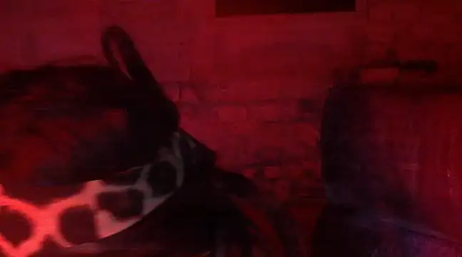 Snapshot of iva_spirit chatting on February 9, 2025, 7:52 pm iva spirit online show from February 9, 2025, 7:52 pm