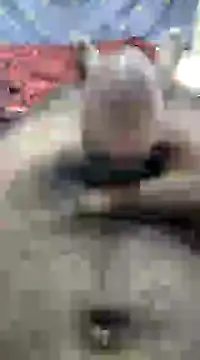 mallucallboy2104 online show from December 10, 2024, 10:06 am