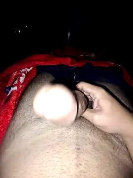 nidansohib1230 online show from November 4, 2025, 4:55 am