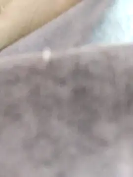 dahana0 online show from March 12, 2025, 12:36 pm