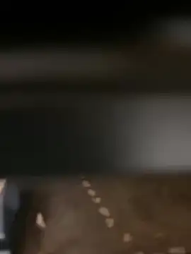 evoscenteno online show from December 30, 2024, 12:32 am