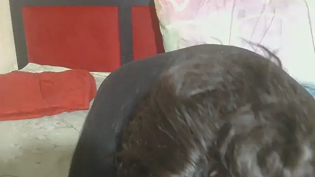 Snapshot of MaximTease24 chatting on June 12, 2026, 10:41 pm MaximTease24 online show from June 12, 2026, 10:41 pm