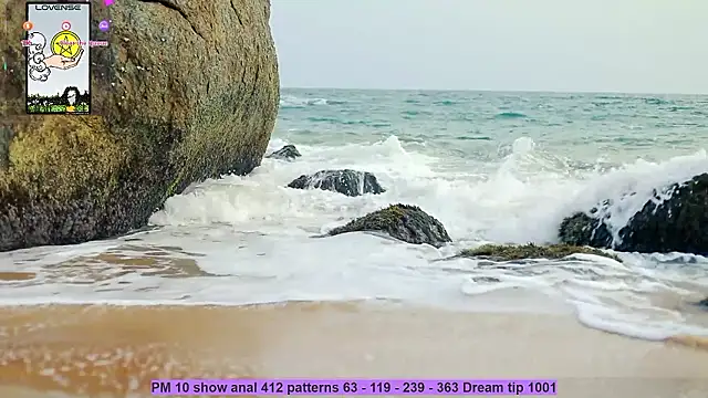  sex in paradise  online show from December 3, 2024, 12:35 am