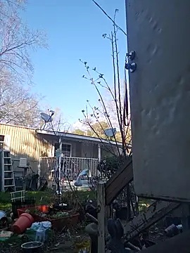 Snapshot of Beyond1978 chatting on March 10, 2026, 8:47 pm Beyond1978 online show from March 10, 2026, 8:47 pm