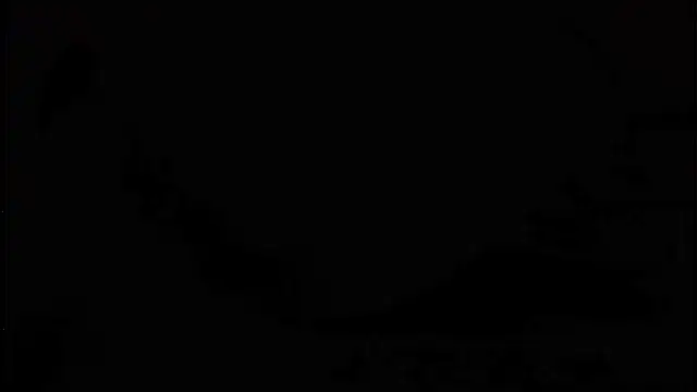 frankie7inch online show from June 15, 2026, 2:36 am