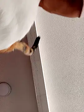 Skylar-Vox- online show from September 23, 2025, 1:58 pm