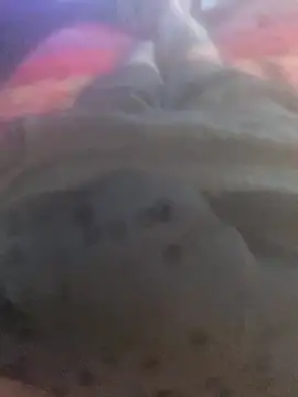 solomec online show from September 25, 2025, 6:39 am