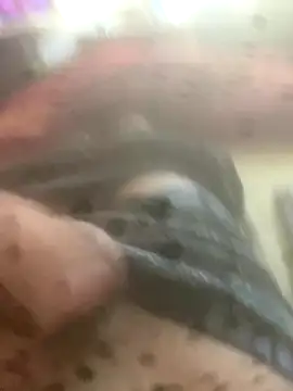 solomec online show from October 12, 2025, 7:51 am