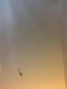 themasteer69 online show from February 3, 2026, 8:36 pm