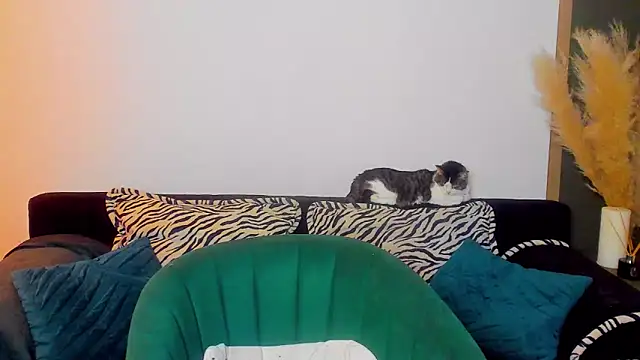 Snapshot of rora_skyline chatting on March 5, 2026, 1:18 pm rora skyline online show from March 5, 2026, 1:18 pm