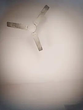 Sanjaysharmarbl online show from January 8, 2025, 7:03 am