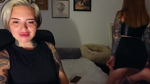 Snapshot of Alexandersonxo chatting on June 22, 2026, 8:17 pm Alexandersonxo online show from June 22, 2026, 8:17 pm