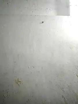 Snapshot of alansteer chatting on December 18, 2024, 2:06 pm alansteer online show from December 18, 2024, 2:06 pm