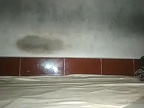 Snapshot of alansteer chatting on October 21, 2025, 8:15 am alansteer online show from October 21, 2025, 8:15 am