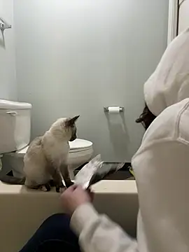 Snapshot of HotMessStilltheBest chatting on January 21, 2025, 9:13 am HotMessStilltheBest online show from January 21, 2025, 9:13 am