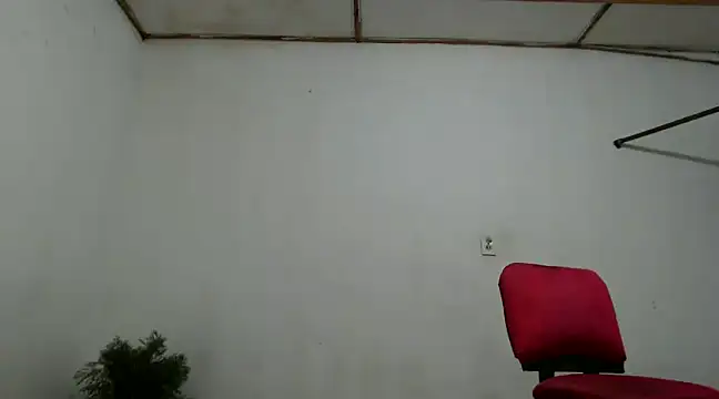 Snapshot of fernandez_latinblackk chatting on December 4, 2024, 11:02 pm fernandez latinblackk online show from December 4, 2024, 11:02 pm