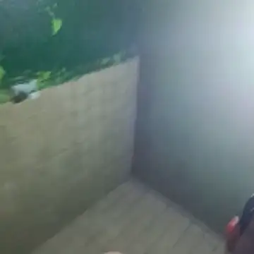 Snapshot of gerinwatch chatting on March 10, 2026, 2:00 pm gerinwatch online show from March 10, 2026, 2:00 pm