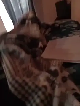 MrTamburine22 online show from February 27, 2026, 1:44 pm