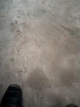 PracticalGum40 online show from December 18, 2024, 4:49 pm