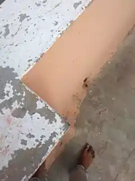 Snapshot of PracticalGum40 chatting on February 21, 2026, 3:07 am PracticalGum40 online show from February 21, 2026, 3:07 am